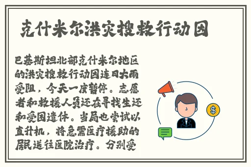 美国人打扑克剧烈运动